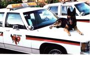 San Diego K9 security patrol service