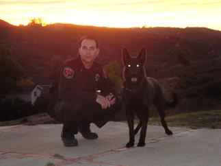 security officer with k-9 in escondido